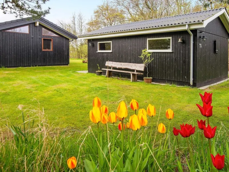 Billede 20 af 6 Person Holiday Home in Romo