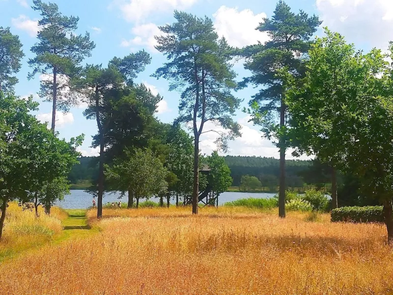 Billede 37 af 6 Person Holiday Home in Silkeborg-by Traum
