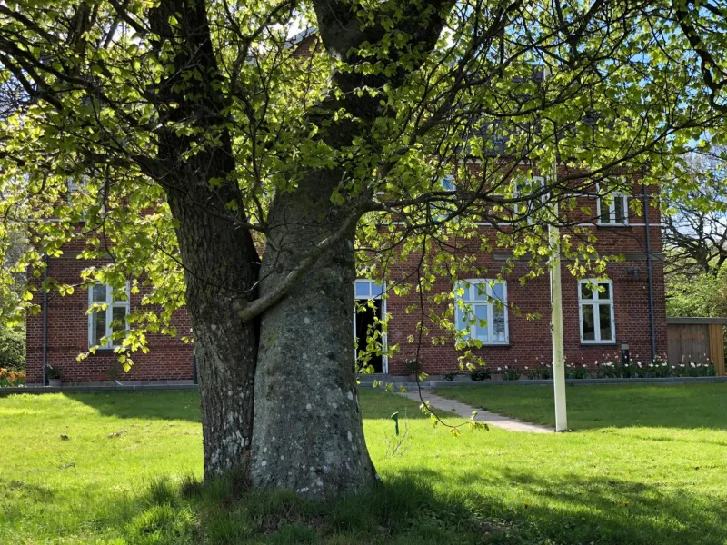 Billede 35 af Rolykke