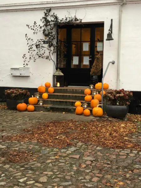 Billede 82 af Rønhave