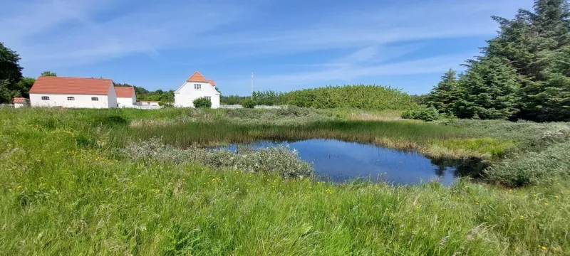 Billede 6 af Løkken Klit Camping (Empty Lot)