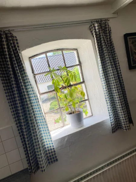Billede 23 af Stutteri Skandihest Apartments