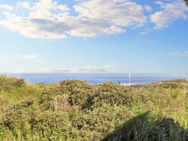 Billede 4 af 12 Person Holiday Home in Hirtshals-by Traum