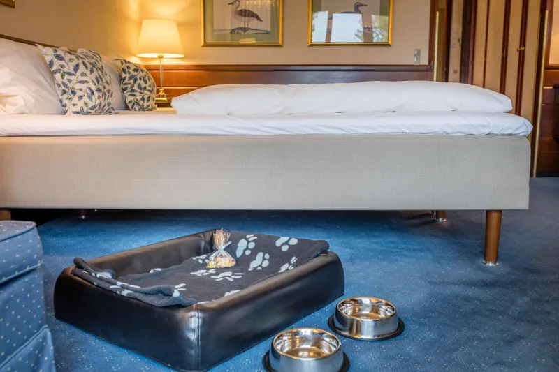 Billede 33 af Hotel Hesselet