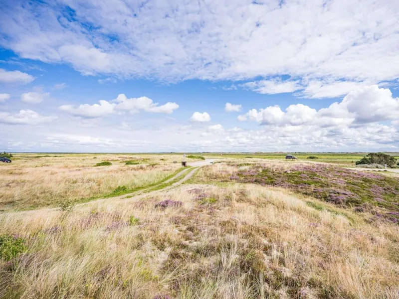 Billede 21 af 4 Person Holiday Home in Hvide Sande