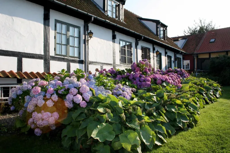 Billede 22 af Allinge Badehotel