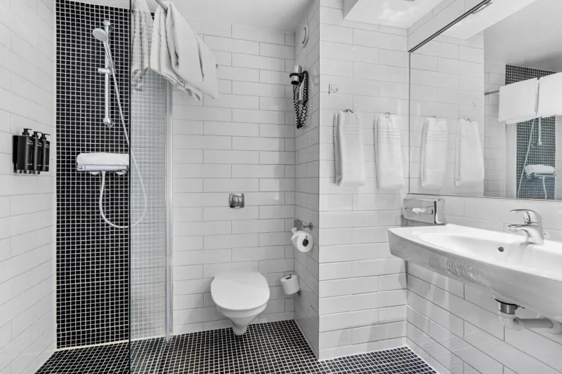 Billede 24 af Best Western Plus Park Globetrotter Copenhagen Airport