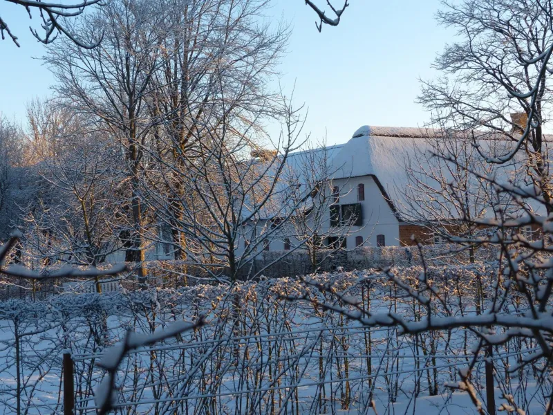 Billede 9 af Hesselhogaard Bed & Breakfast