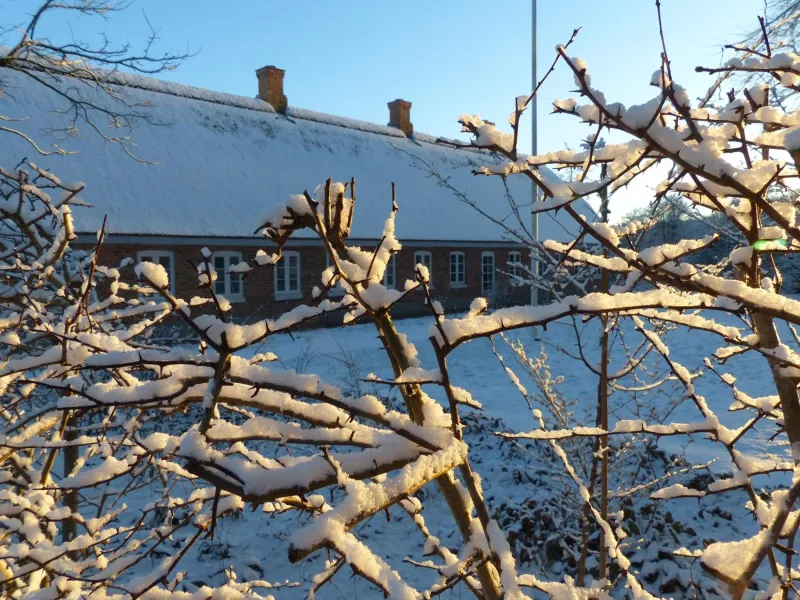 Billede 17 af Hesselhogaard Bed & Breakfast