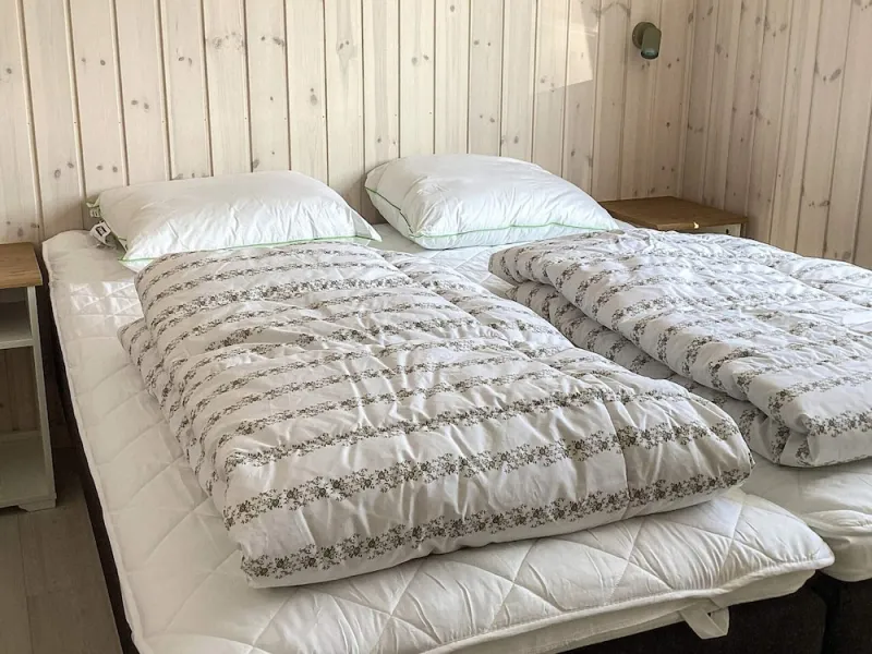 Billede 50 af 5 Star Holiday Home in Idestrup