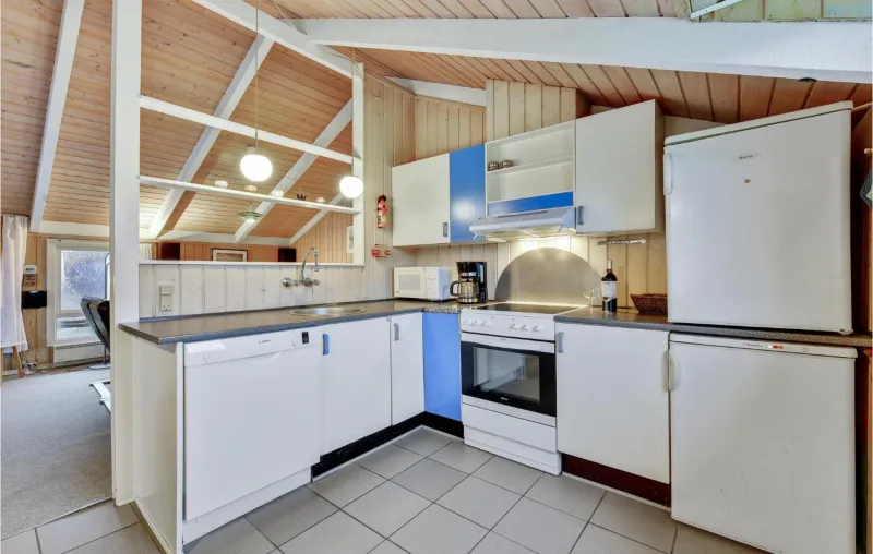 Amazing Home In Hvide Sande With Sauna photo 5