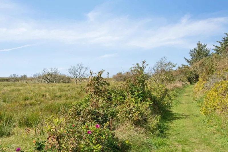 Enjoy A Holiday Just 200 M From Ringkøbing Fjord photo 3