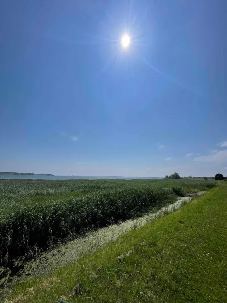 Billede 36 af Summer Cottage Idyll At Natures Pearl,