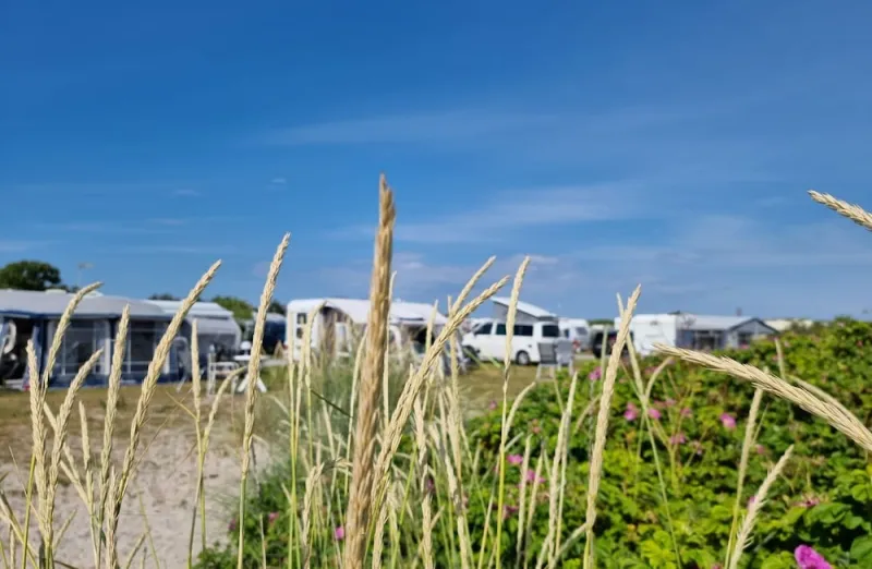 First Camp Grenen Strand - Skagen photo 8