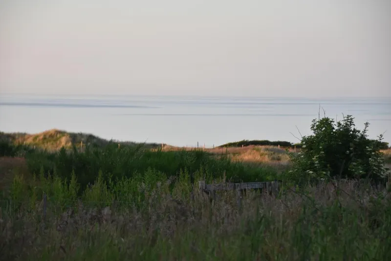 Sommerhus Farmen i Hanstholm photo 4