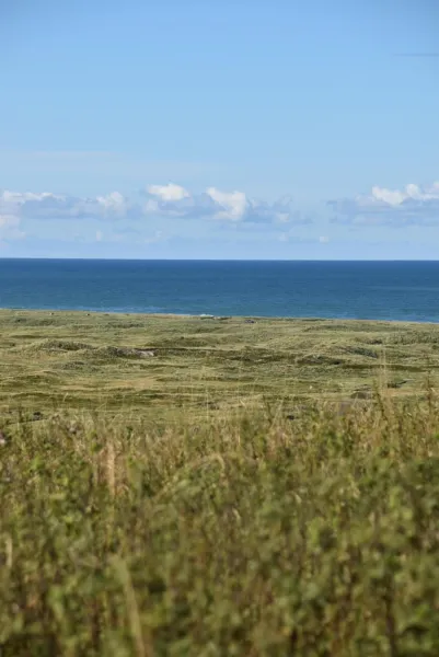 Sommerhus Farmen i Hanstholm photo 12