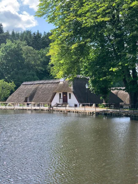 Billede 23 af Lillemøllens bed & breakfast