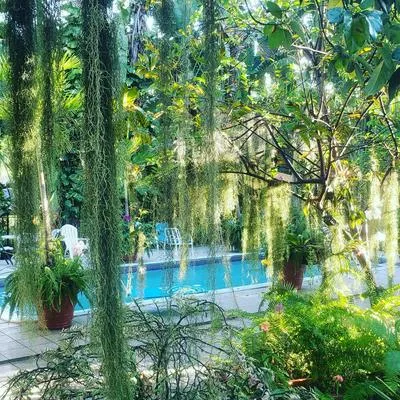 Billede 2 af Orchid Cottage