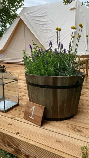 Billede 5 af Green Glamping