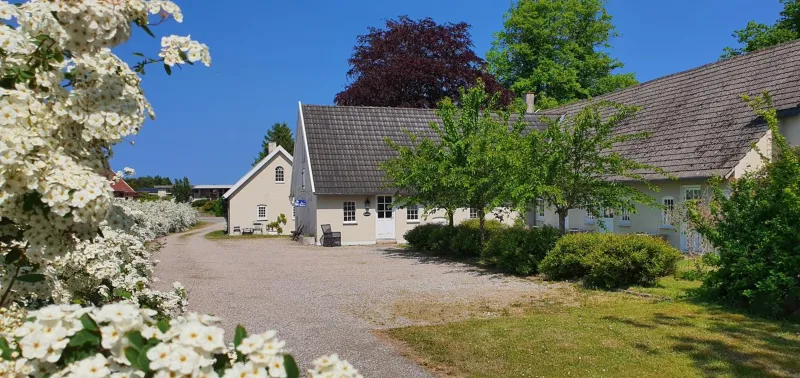 Billede 8 af Store Ejlstrup Bed & Breakfast