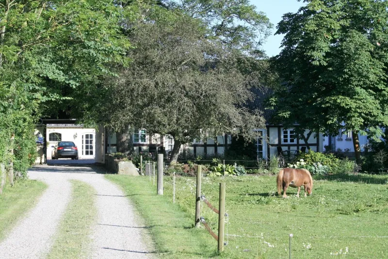 Billede 16 af Rødkærgård Bed&Breakfast