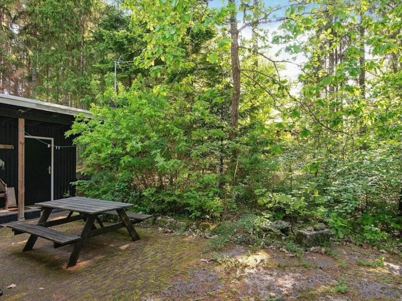 Billede 7 af 4 Person Holiday Home in Bryrup-by Traum