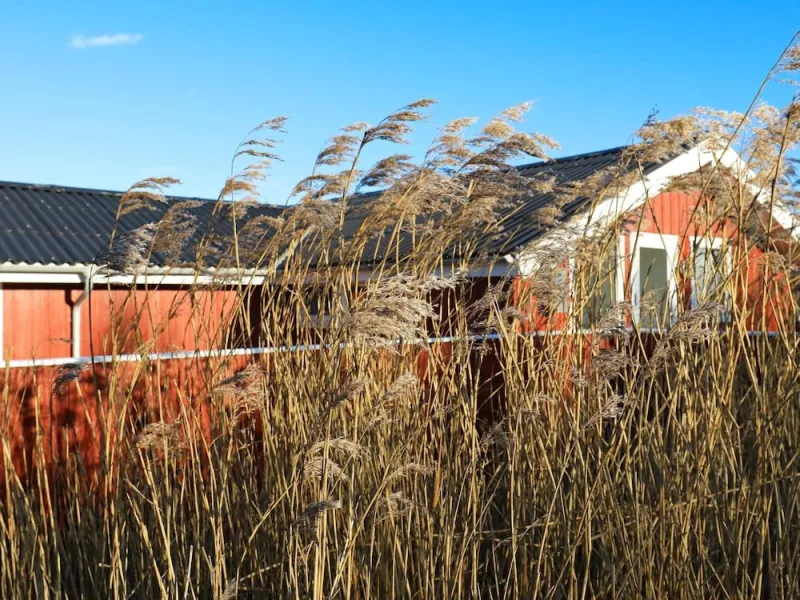 Billede 9 af 6 Person Holiday Home in Hjorring-by Traum