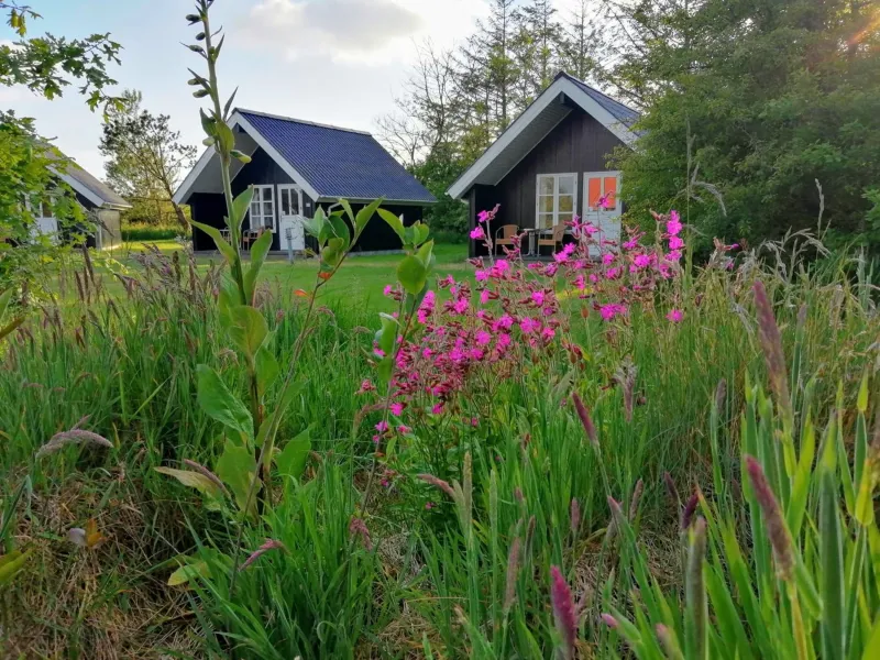 Billede 7 af Lindvig - Ferie i naturen
