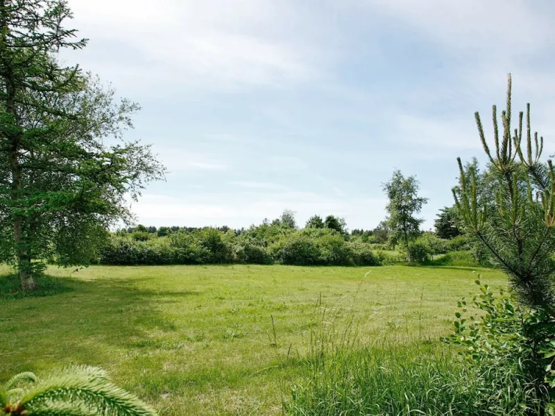 Billede 6 af 8 Person Holiday Home in Fjerritslev-by Traum