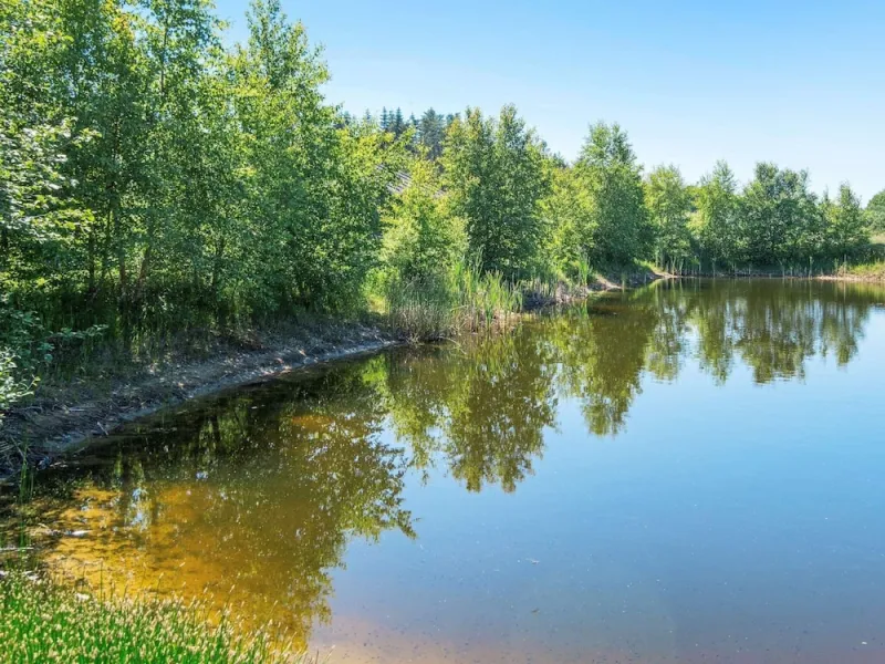 Billede 2 af 8 Person Holiday Home in Glesborg