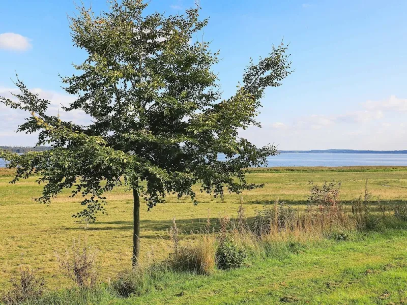 Billede 2 af 4 Person Holiday Home in Hojslev
