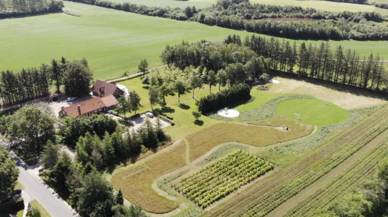 Billede 85 af Egebjerggaard Bed & Breakfast