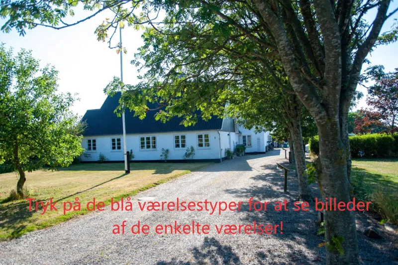 Billede 8 af Æblehaven