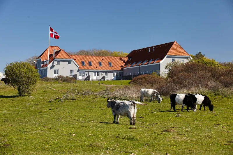 Billede 8 af Hotel Nor - Badehotellet