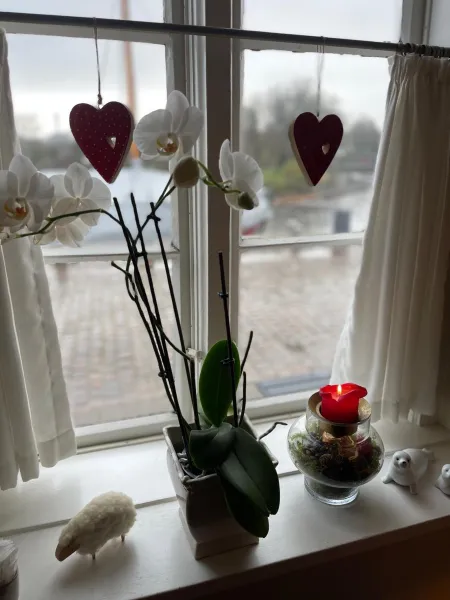 Billede 17 af Restaurant Sælhunden