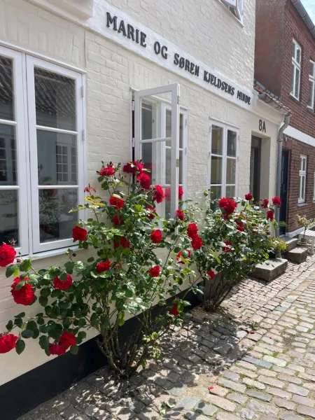 Billede 40 af Restaurant Sælhunden
