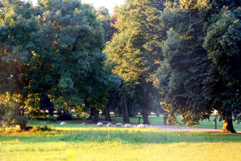 Billede 89 af Tiendegaarden Møns Klint