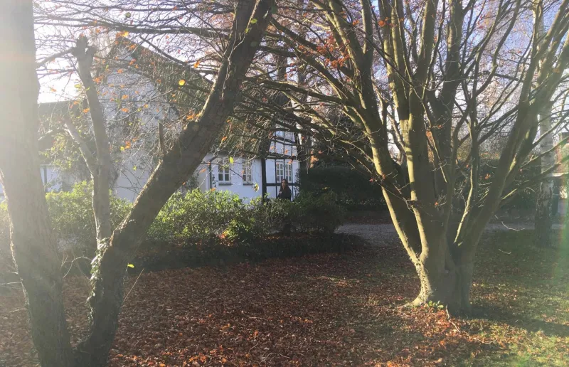 Billede 8 af Hvidegaard Møn