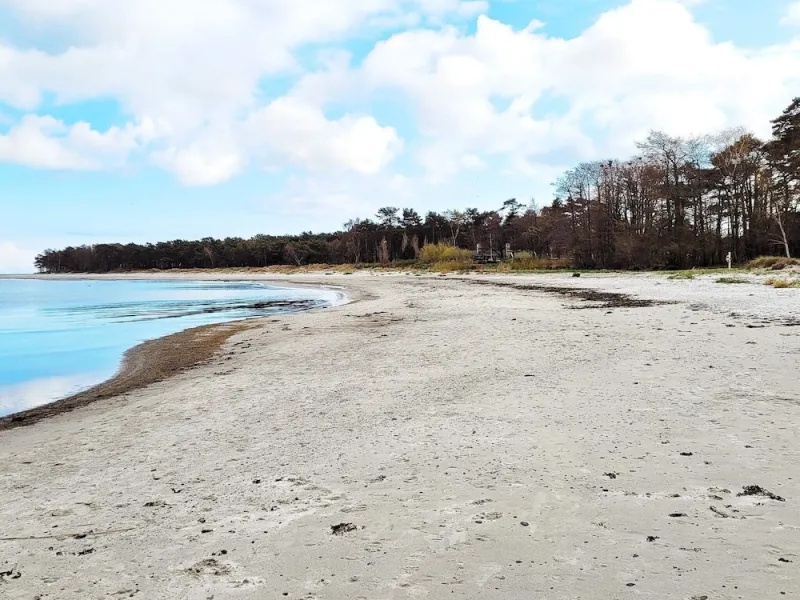 Billede 4 af Beachfront Bliss in Snogebaek - By Traum Ferienwohnungen