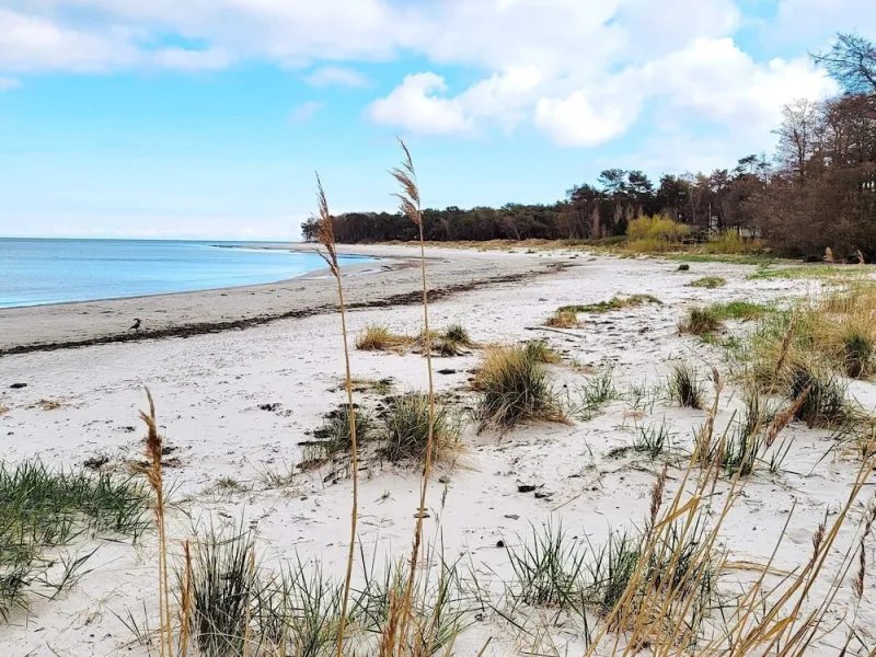 Billede 7 af Beachfront Bliss in Snogebaek - By Traum Ferienwohnungen