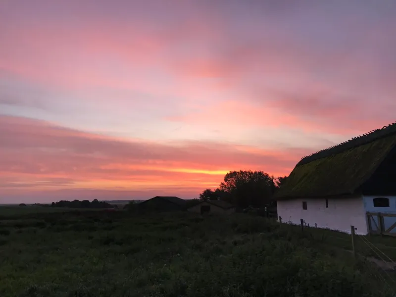 Billede 29 af Strågården Nyord