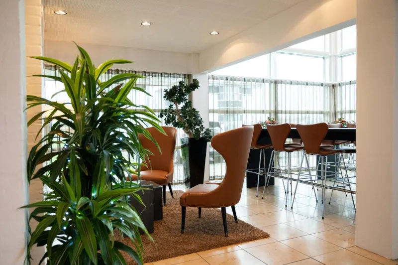 Billede 79 af Hotel Svanen, Stays & BW Signature Collection