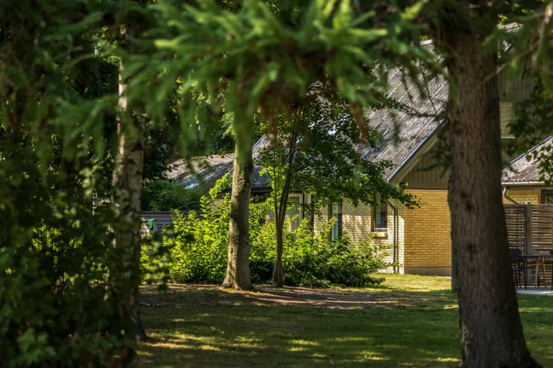 Billede 28 af Pederstrup Bed and Breakfast