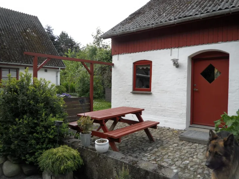 Lille Degnbøl photo 28