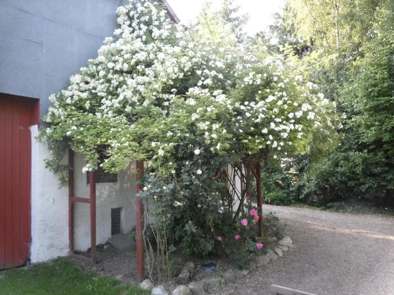 Lille Degnbøl photo 38