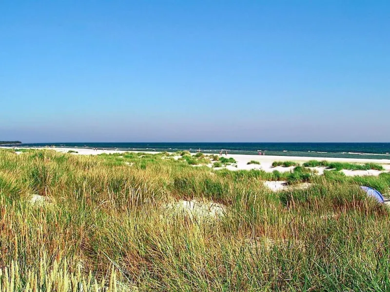Cozy Holiday Home in Nexo near Dueodde Beach