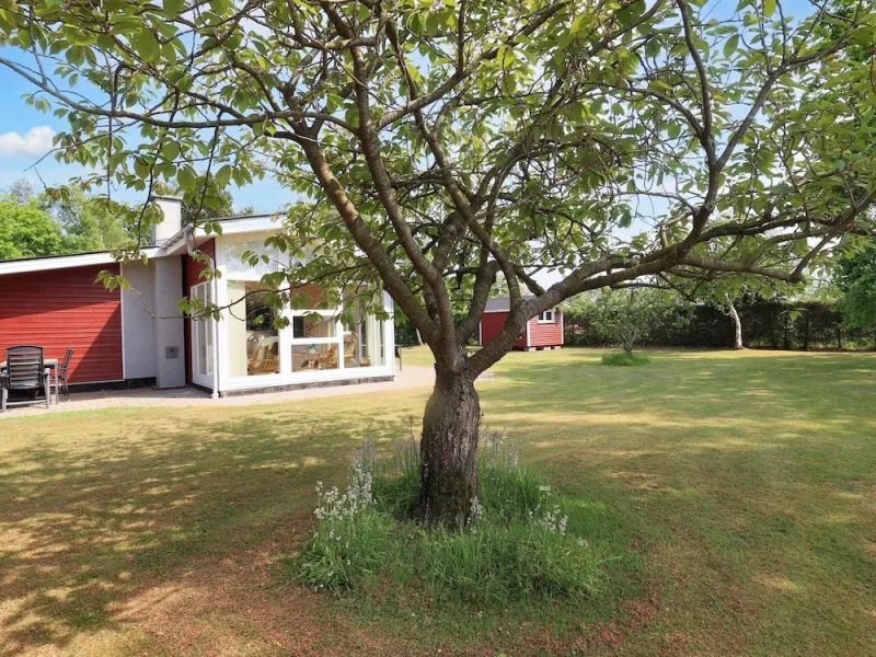 Billede 11 af 6 Person Holiday Home in Storvorde