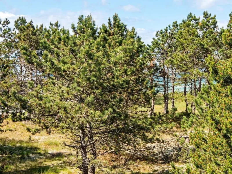 Billede 19 af Seaside Serenity in Fjellerup-by Traum