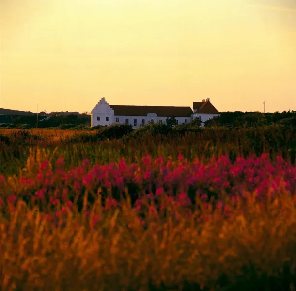 Vitskøl Kloster photo 5
