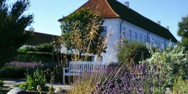 Vitskøl Kloster photo 4